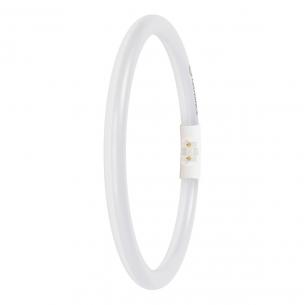 2gx13 830 6w 11 1550lm 50mm 16 external fc performance t5 r led-r ledvance