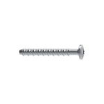 stk 100 a kasse elforzinket 30 torx med panhoved mm 6x40 betonskrue w-lx-p walraven
