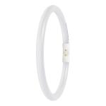 2gx13 830 6w 11 1550lm 50mm 16 external fc performance t5 r led-r ledvance