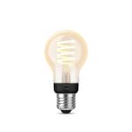 1-pak lumen 550 7w e27 filament hue philips